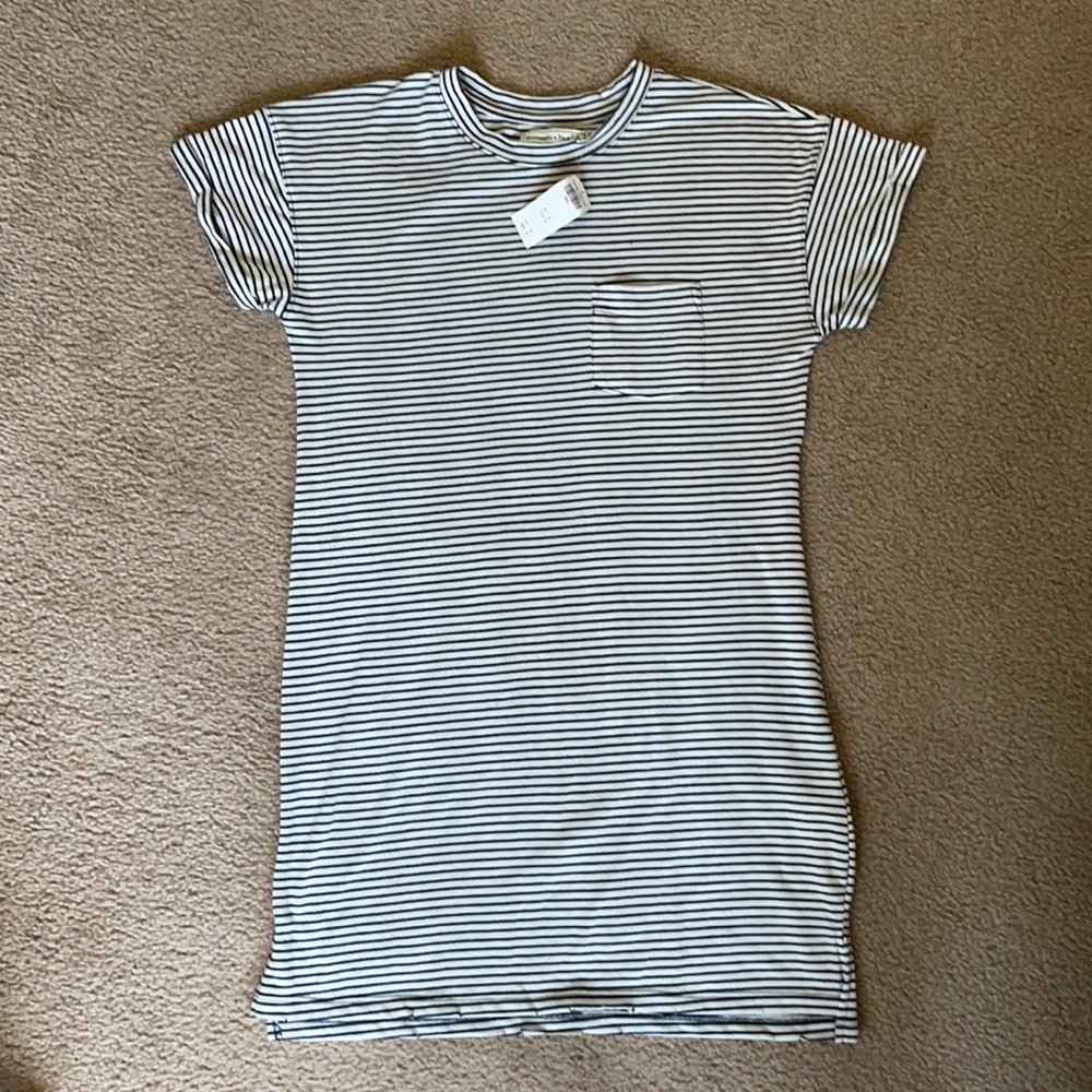 BNWT Abercrombie & Fitch Blue & White Stripe Dress - Picture 1 of 5